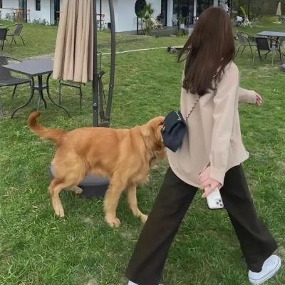 柏林酷儿